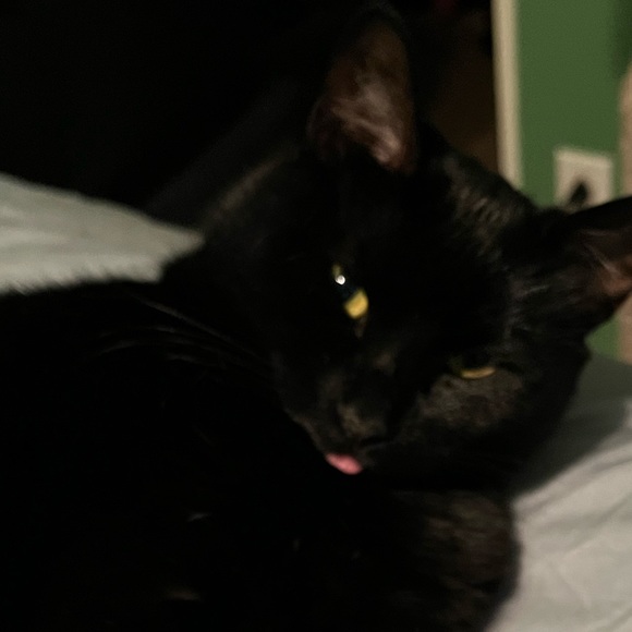 Meet your Posher, Valerie - Picture 1 of 1